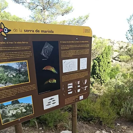 Loft Carrasketa Alfafara