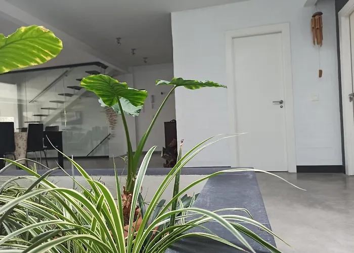 Loft Carrasketa