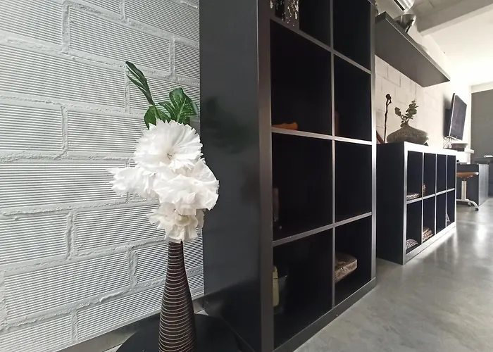 Apartment Loft Carrasketa