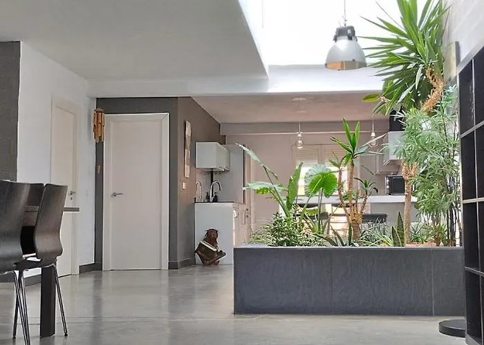 Loft Carrasketa Apartment *