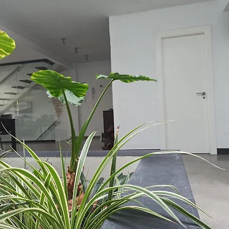 Loft Carrasketa