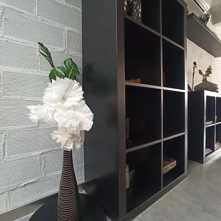 Apartment Loft Carrasketa