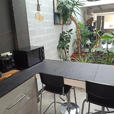 Loft Carrasketa Alfafara