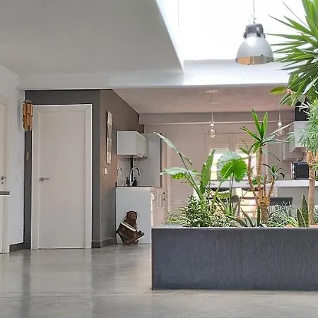 Loft Carrasketa Apartment *