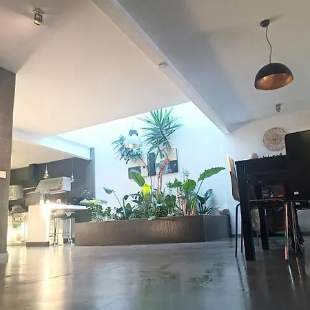 Loft Carrasketa
